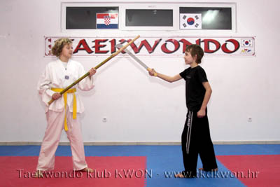 taekwondo kwon training